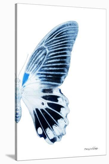 Miss Butterfly Agenor - X-Ray Right White Edition-Philippe Hugonnard-Stretched Canvas