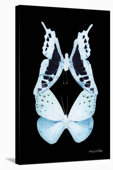 Miss Butterfly Duo Cloanthaea II - X-Ray Black Edition-Philippe Hugonnard-Stretched Canvas