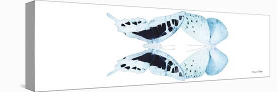 Miss Butterfly Duo Cloanthaea Pan - X-Ray White Edition-Philippe Hugonnard-Stretched Canvas