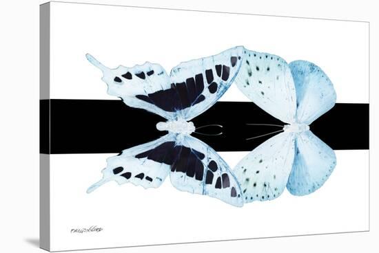 Miss Butterfly Duo Cloanthaea - X-Ray B&W Edition II-Philippe Hugonnard-Stretched Canvas