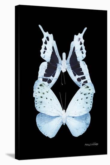 Miss Butterfly Duo Euploanthus II - X-Ray Black Edition-Philippe Hugonnard-Stretched Canvas