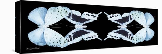 Miss Butterfly Duo Euploanthus Pan - X-Ray Black Edition II-Philippe Hugonnard-Stretched Canvas