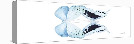 Miss Butterfly Duo Euploanthus Pan - X-Ray White Edition-Philippe Hugonnard-Stretched Canvas