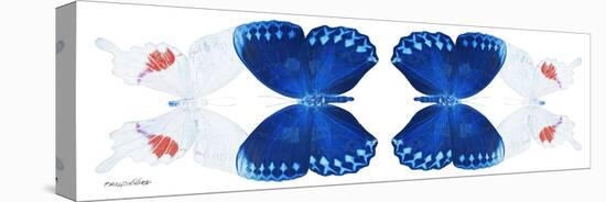 Miss Butterfly Duo Formohermos Pan - X-Ray White Edition II-Philippe Hugonnard-Stretched Canvas