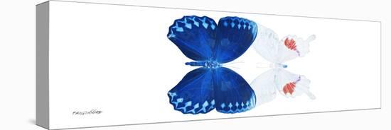 Miss Butterfly Duo Formohermos Pan - X-Ray White Edition-Philippe Hugonnard-Stretched Canvas