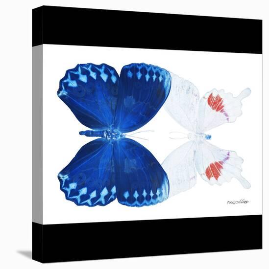 Miss Butterfly Duo Formohermos Sq - X-Ray B&W Edition-Philippe Hugonnard-Stretched Canvas