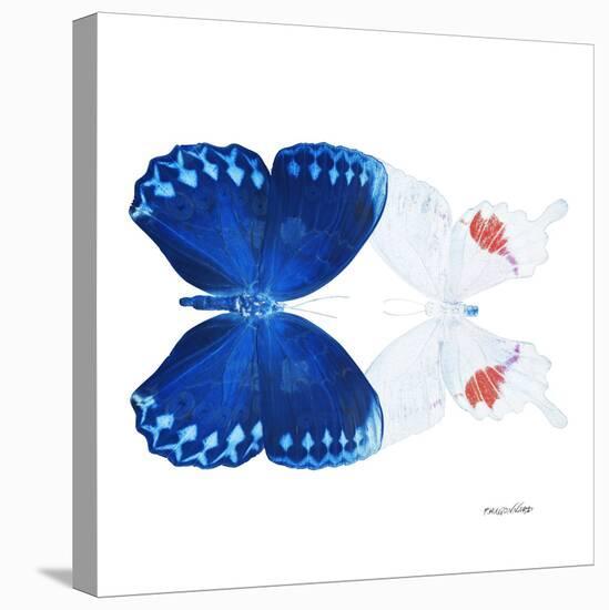 Miss Butterfly Duo Formohermos Sq - X-Ray White Edition-Philippe Hugonnard-Stretched Canvas