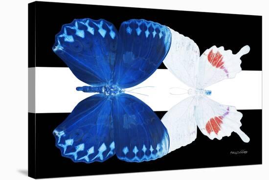 Miss Butterfly Duo Formohermos - X-Ray B&W Edition II-Philippe Hugonnard-Stretched Canvas