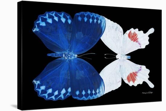 Miss Butterfly Duo Formohermos - X-Ray Black Edition-Philippe Hugonnard-Stretched Canvas