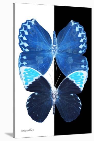 Miss Butterfly Duo Formoia II - X-Ray B&W Edition-Philippe Hugonnard-Stretched Canvas