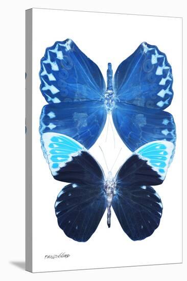 Miss Butterfly Duo Formoia II - X-Ray White Edition-Philippe Hugonnard-Stretched Canvas