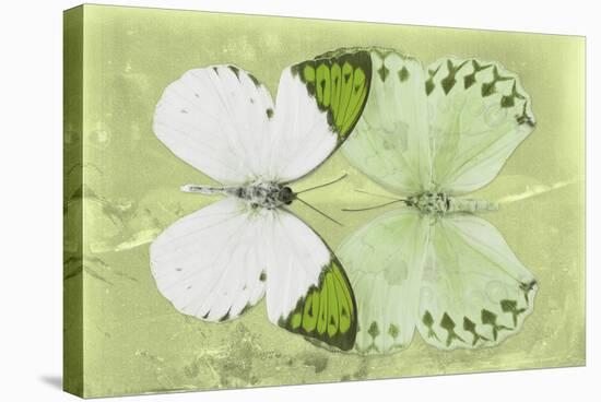 Miss Butterfly Duo Formoia - Lime Green-Philippe Hugonnard-Premier Image Canvas