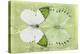 Miss Butterfly Duo Formoia - Lime Green-Philippe Hugonnard-Premier Image Canvas