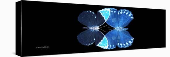 Miss Butterfly Duo Formoia Pan - X-Ray Black Edition-Philippe Hugonnard-Stretched Canvas