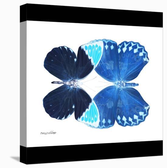 Miss Butterfly Duo Formoia Sq - X-Ray B&W Edition-Philippe Hugonnard-Stretched Canvas