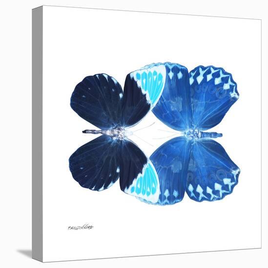 Miss Butterfly Duo Formoia Sq - X-Ray White Edition-Philippe Hugonnard-Premier Image Canvas