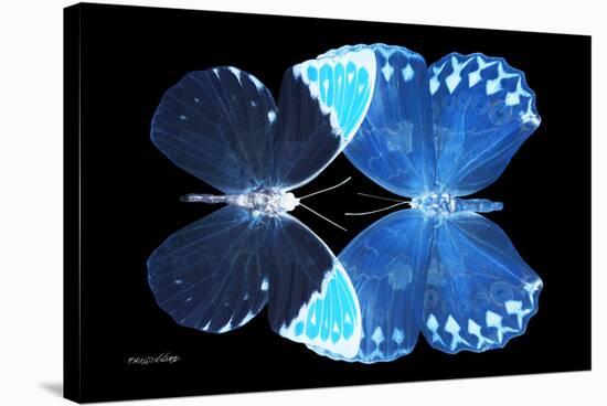 Miss Butterfly Duo Formoia - X-Ray Black Edition-Philippe Hugonnard-Stretched Canvas