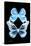 Miss Butterfly Duo Genuswing II - X-Ray Black Edition-Philippe Hugonnard-Stretched Canvas