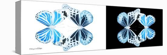 Miss Butterfly Duo Genuswing Pan - X-Ray B&W Edition-Philippe Hugonnard-Stretched Canvas