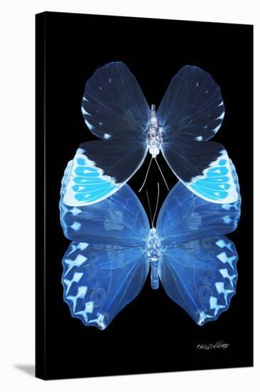 Miss Butterfly Duo Heboformo II - X-Ray Black Edition-Philippe Hugonnard-Stretched Canvas