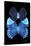 Miss Butterfly Duo Heboformo II - X-Ray Black Edition-Philippe Hugonnard-Stretched Canvas