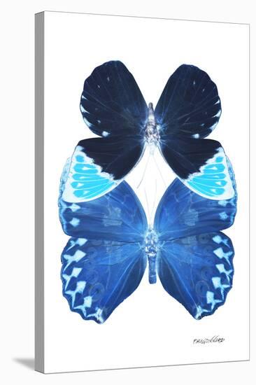 Miss Butterfly Duo Heboformo II - X-Ray White Edition-Philippe Hugonnard-Stretched Canvas