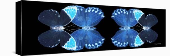 Miss Butterfly Duo Heboformo Pan - X-Ray Black Edition II-Philippe Hugonnard-Stretched Canvas