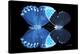 Miss Butterfly Duo Heboformo - X-Ray Black Edition-Philippe Hugonnard-Stretched Canvas