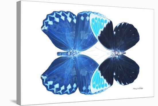 Miss Butterfly Duo Heboformo - X-Ray White Edition-Philippe Hugonnard-Stretched Canvas