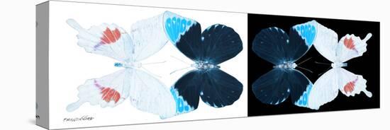 Miss Butterfly Duo Hermosana Pan - X-Ray B&W Edition-Philippe Hugonnard-Stretched Canvas