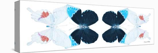 Miss Butterfly Duo Hermosana Pan - X-Ray White Edition II-Philippe Hugonnard-Stretched Canvas