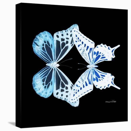 Miss Butterfly Duo Melaxhus Sq - X-Ray Black Edition-Philippe Hugonnard-Stretched Canvas