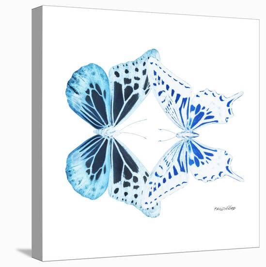 Miss Butterfly Duo Melaxhus Sq - X-Ray White Edition-Philippe Hugonnard-Stretched Canvas