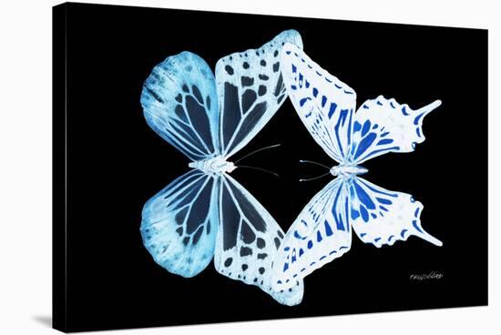 Miss Butterfly Duo Melaxhus - X-Ray Black Edition-Philippe Hugonnard-Stretched Canvas