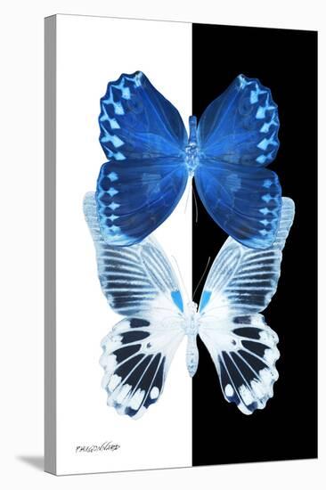 Miss Butterfly Duo Memhowqua II - X-Ray B&W Edition-Philippe Hugonnard-Stretched Canvas