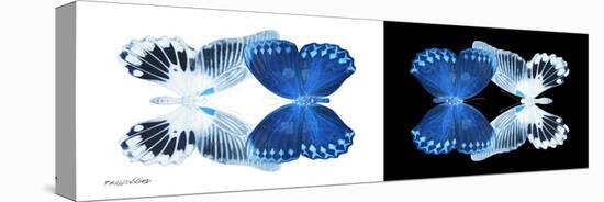 Miss Butterfly Duo Memhowqua Pan - X-Ray B&W Edition-Philippe Hugonnard-Stretched Canvas