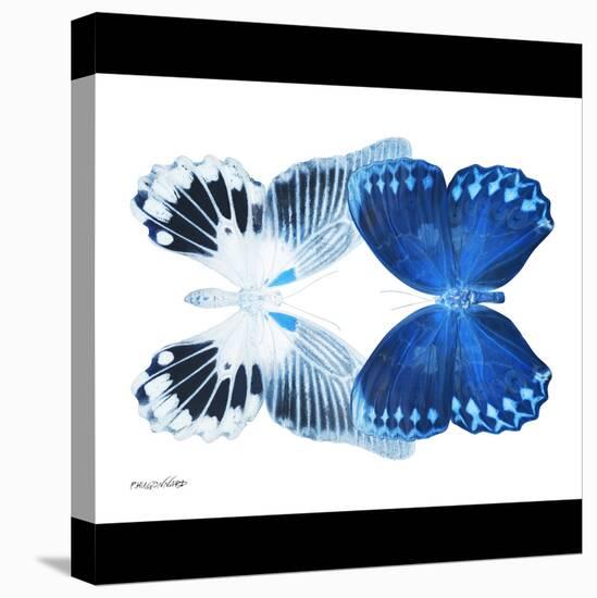 Miss Butterfly Duo Memhowqua Sq - X-Ray B&W Edition-Philippe Hugonnard-Stretched Canvas