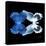 Miss Butterfly Duo Memhowqua Sq - X-Ray Black Edition-Philippe Hugonnard-Stretched Canvas