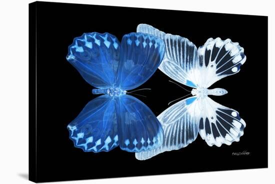 Miss Butterfly Duo Memhowqua - X-Ray Black Edition-Philippe Hugonnard-Stretched Canvas