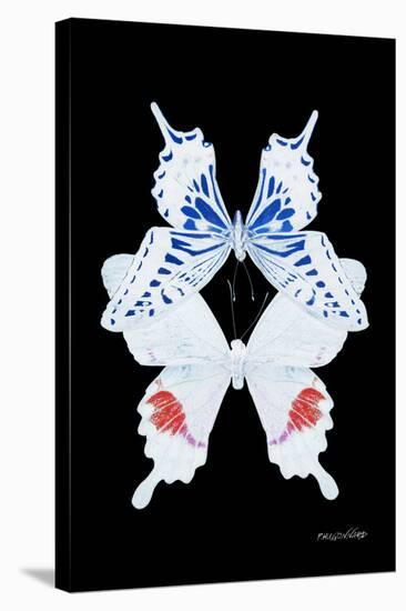 Miss Butterfly Duo Parisuthus II - X-Ray Black Edition-Philippe Hugonnard-Stretched Canvas