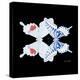Miss Butterfly Duo Parisuthus Sq - X-Ray Black Edition-Philippe Hugonnard-Stretched Canvas