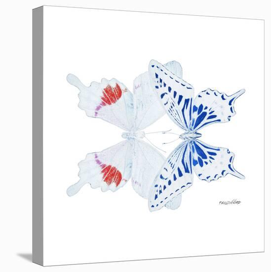 Miss Butterfly Duo Parisuthus Sq - X-Ray White Edition-Philippe Hugonnard-Stretched Canvas
