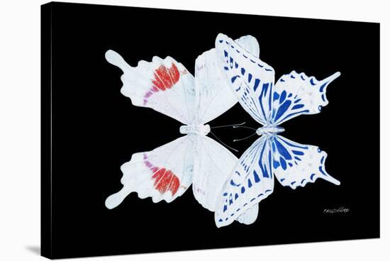 Miss Butterfly Duo Parisuthus - X-Ray Black Edition-Philippe Hugonnard-Stretched Canvas