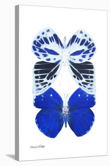 Miss Butterfly Duo Priopomia II - X-Ray White Edition-Philippe Hugonnard-Stretched Canvas