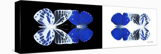 Miss Butterfly Duo Priopomia Pan - X-Ray B&W Edition-Philippe Hugonnard-Stretched Canvas