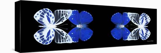 Miss Butterfly Duo Priopomia Pan - X-Ray Black Edition II-Philippe Hugonnard-Stretched Canvas