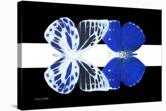 Miss Butterfly Duo Priopomia - X-Ray B&W Edition II-Philippe Hugonnard-Stretched Canvas