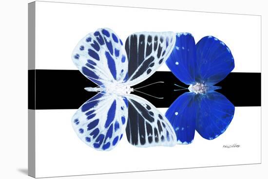 Miss Butterfly Duo Priopomia - X-Ray B&W Edition-Philippe Hugonnard-Stretched Canvas