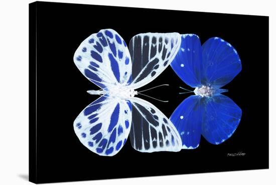 Miss Butterfly Duo Priopomia - X-Ray Black Edition-Philippe Hugonnard-Stretched Canvas