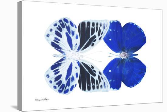 Miss Butterfly Duo Priopomia - X-Ray White Edition-Philippe Hugonnard-Stretched Canvas